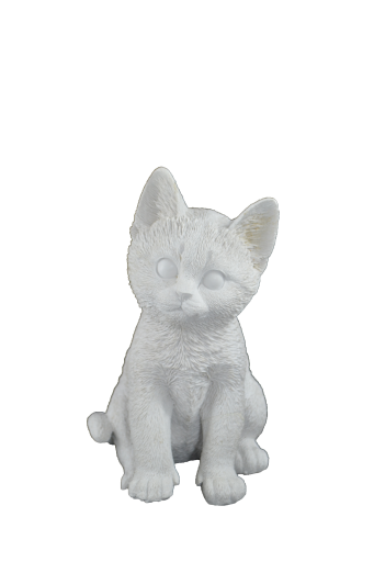 Kedi