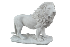 HYK16 - ASLAN BİBLO