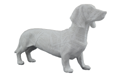 HYK199 - GAZETE DESENLİ KÖPEK