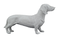 HYK199 - GAZETE DESENLİ KÖPEK