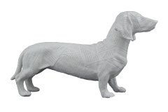HYK199 - GAZETE DESENLİ KÖPEK
