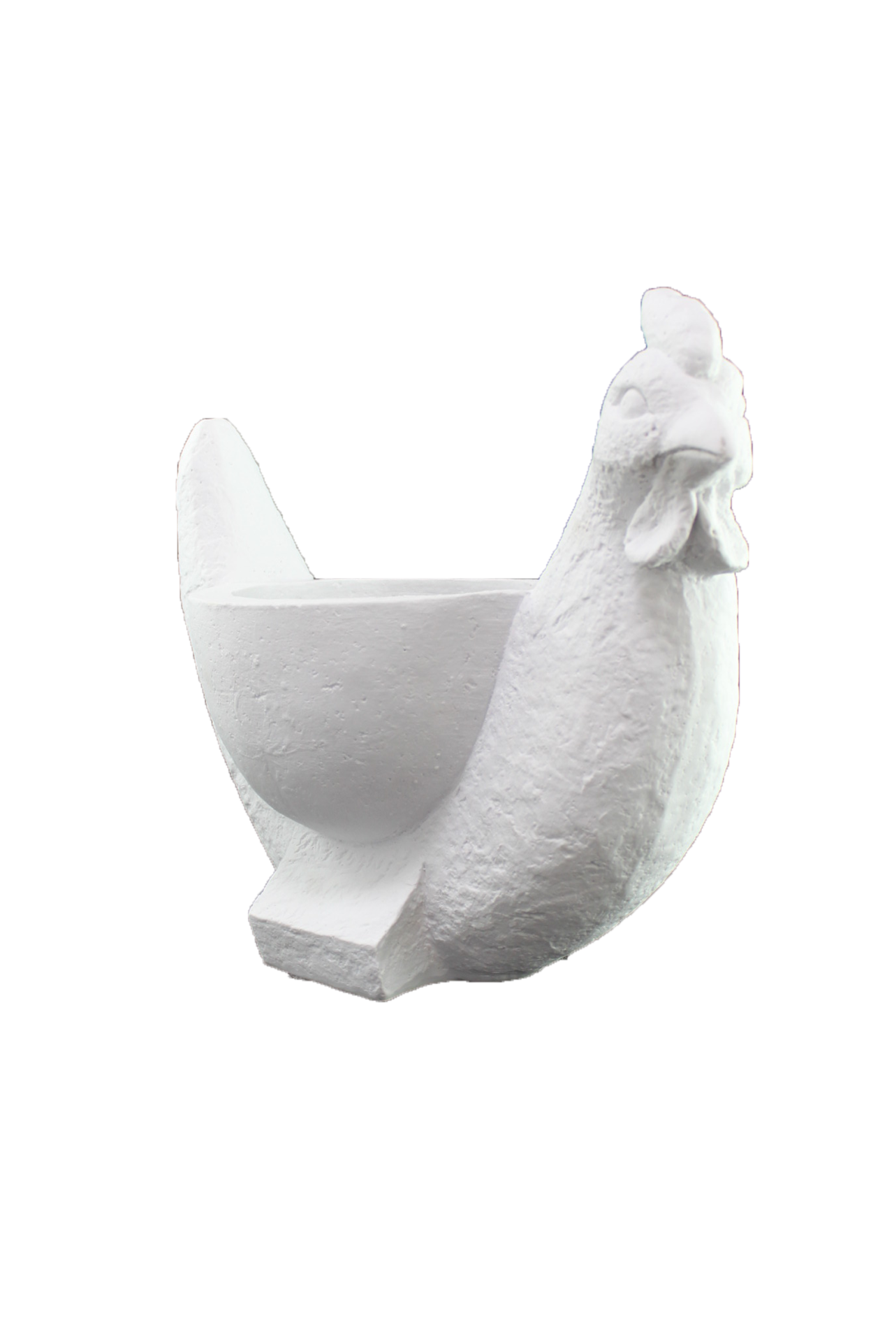 HYK329 - TAVUK SAKSI