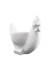 HYK329 - TAVUK SAKSI