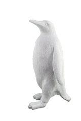 HYK400 - KÜÇÜK PENGUEN