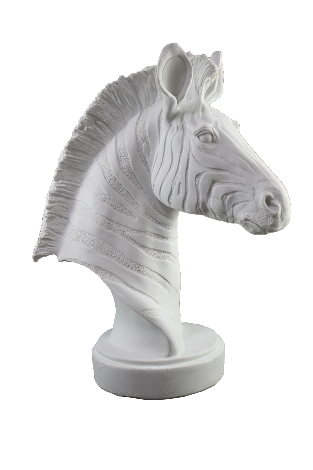 HYK475 - ZEBRA BÜST