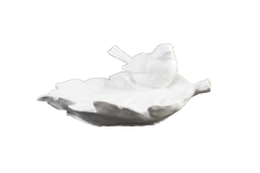 HYK506 - YAPRAK ÜSTÜNDE KUŞ