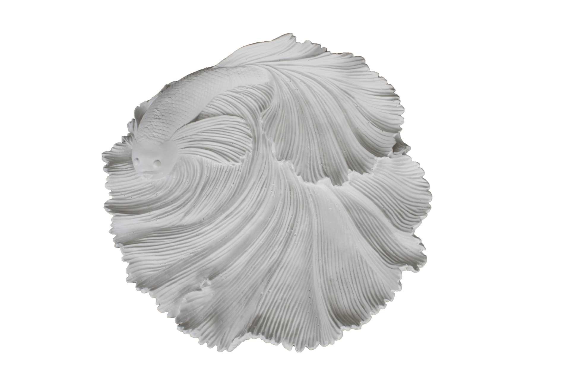 HYK691 - BALIK SIRTI TABAK