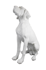 HYK692 - FİBER AV KÖPEĞİ