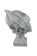 HYK842 - DENİZ KABUĞU MERCAN