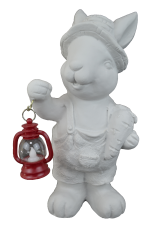 HYK981 - LAMBALI ERKEK TAVŞAN