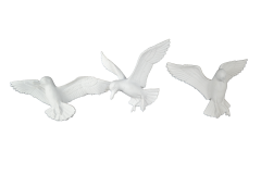 D35