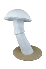 HYK986 - BAHÇE MANTAR ORTA