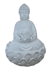 HYK993 - DEV BUDA (FİBER)