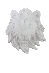 D67 - ASLAN KAFASI