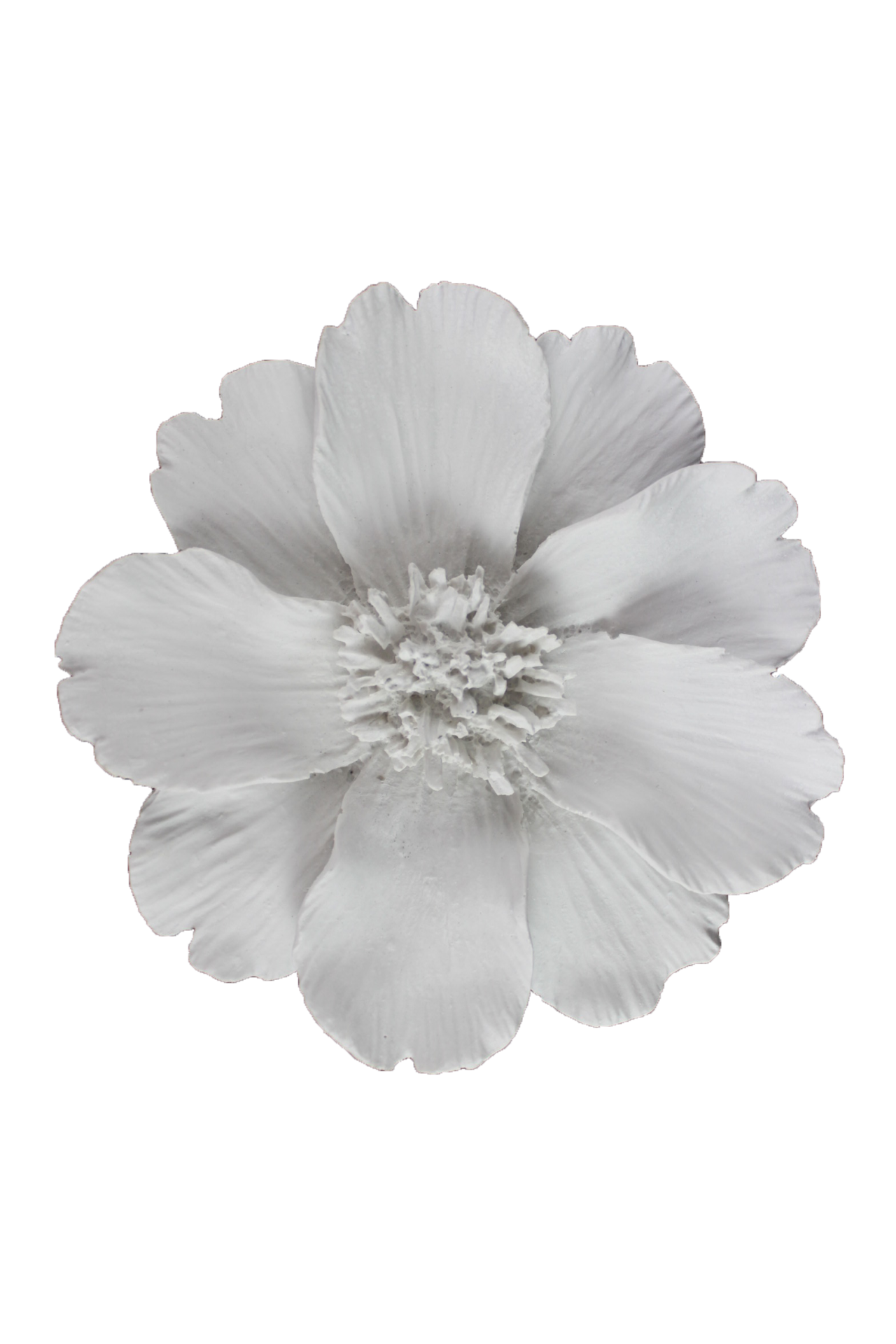 D73 - 4 YAPRAKLI YONCA