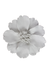 D73 - 4 YAPRAKLI YONCA