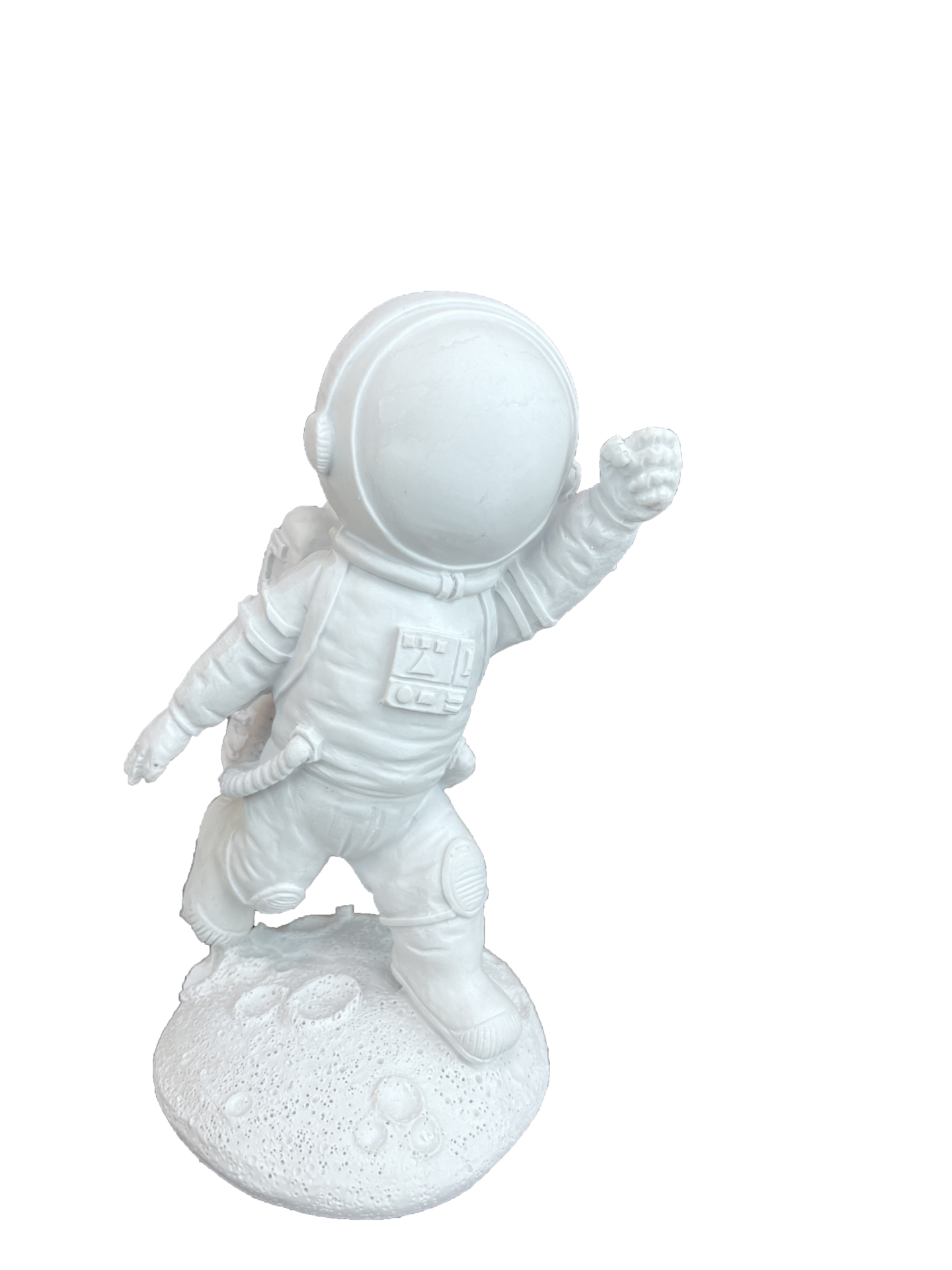 HYK1019 - MINI ASTRONOT