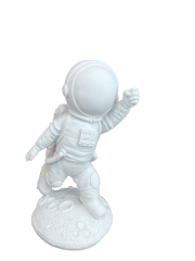 HYK1019 - MINI ASTRONOT