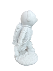 HYK1019 - MINI ASTRONOT
