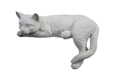 HYK852 - UZANAN KEDİ BİBLO