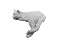 HYK852 - UZANAN KEDİ BİBLO
