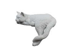 HYK852 - UZANAN KEDİ BİBLO