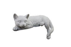 HYK852 - UZANAN KEDİ BİBLO