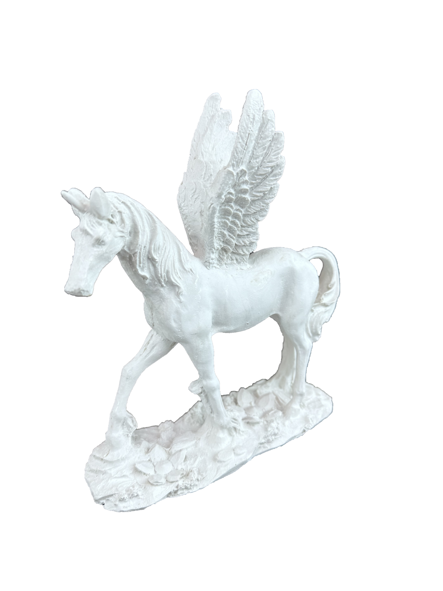 HYK1044 - PEGASUS