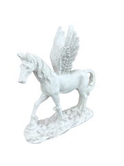 HYK1044 - PEGASUS