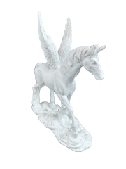 HYK1044 - PEGASUS