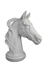 HYK868 - ARAP AT BÜST