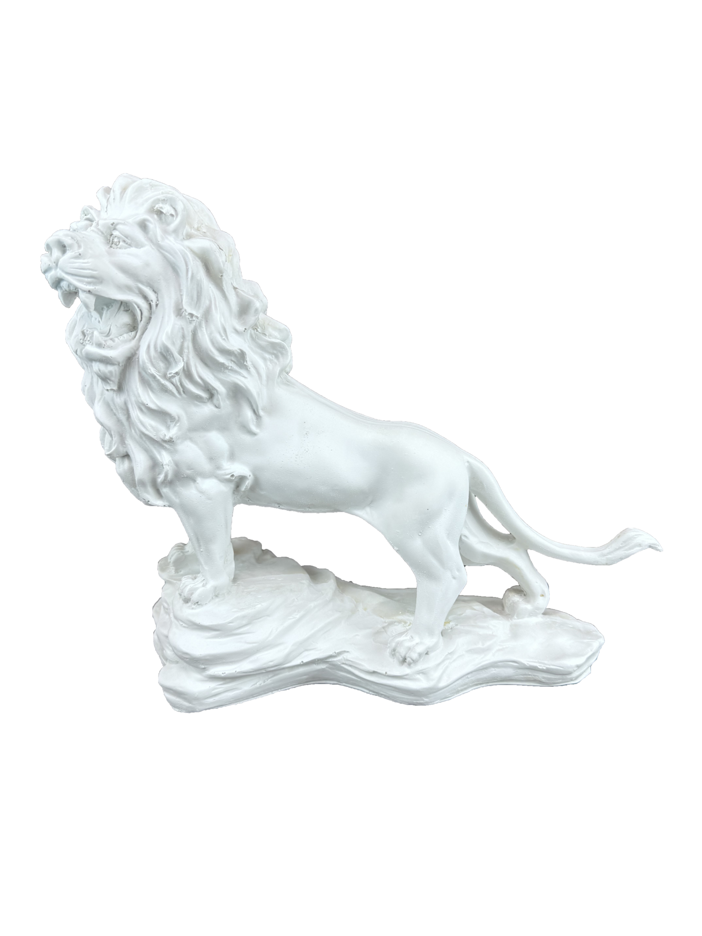 HYK1071 - ASLAN BİBLO