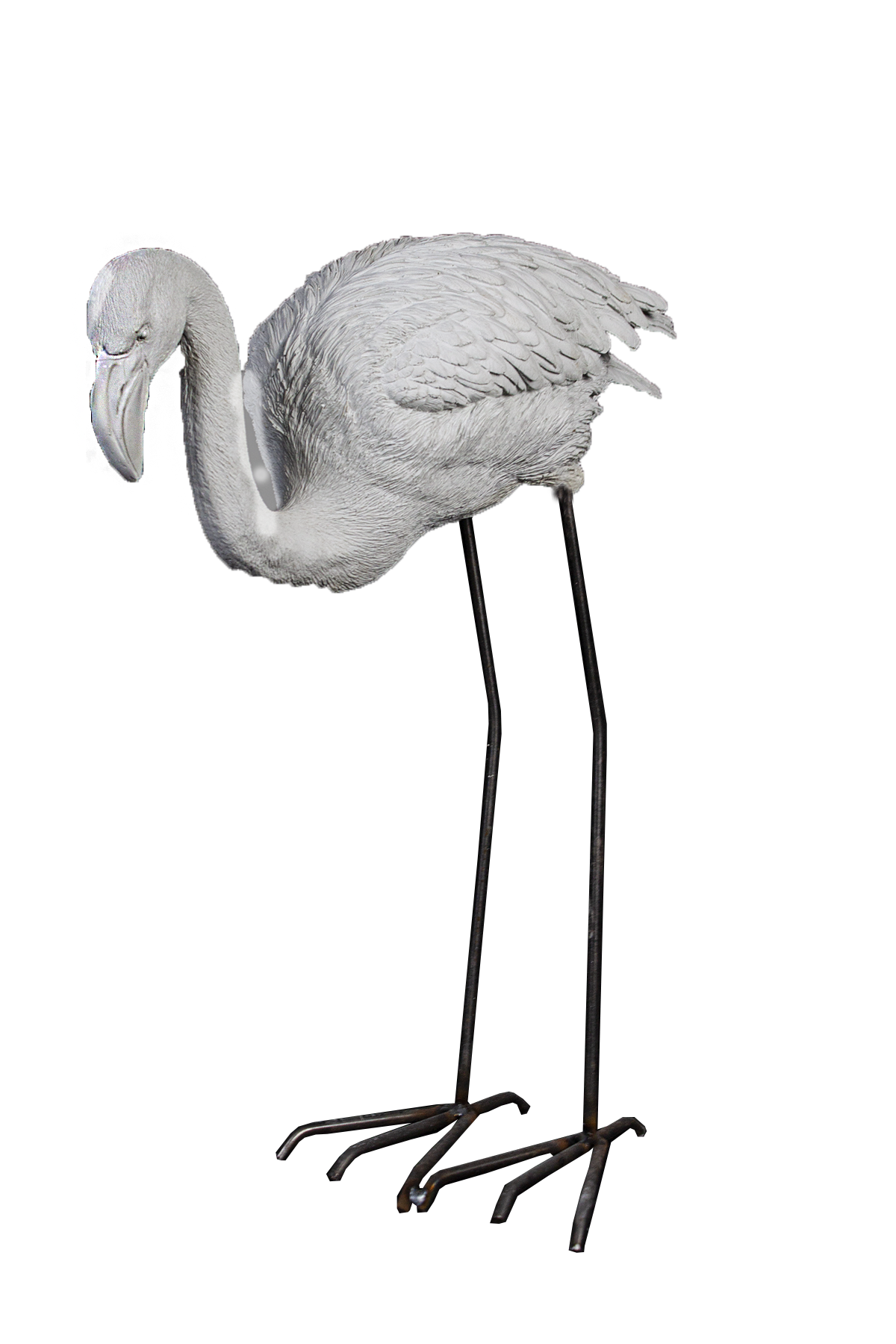 HYK520 - KÜÇÜK FLAMİNGO