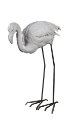 HYK520 - KÜÇÜK FLAMİNGO