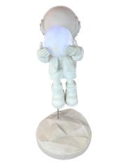 HYK1110 - KAİDELİ BÜYÜK ASTRONOT