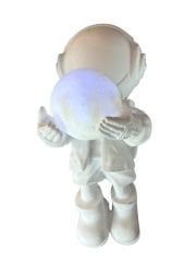 HYK1111 - BÜYÜK DUVAR ASTRONOT