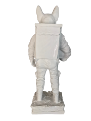 HYK920 - ASTRONOT KÖPEK
