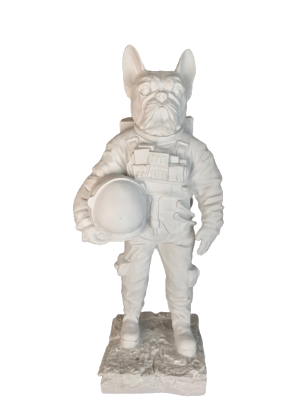 HYK920 - ASTRONOT KÖPEK