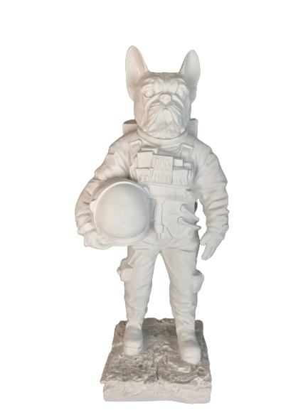 HYK920 - ASTRONOT KÖPEK