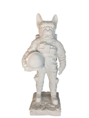 HYK920 - ASTRONOT KÖPEK