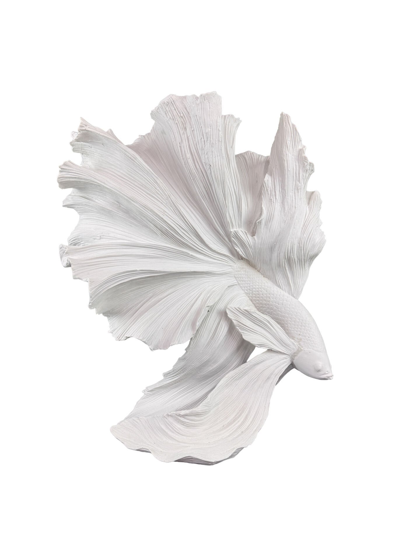 HYK1248 - BETA BALIĞI