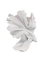 HYK1248 - BETA BALIĞI