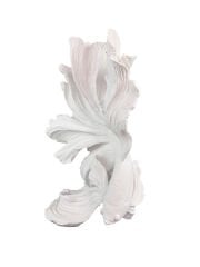 HYK1248 - BETA BALIĞI