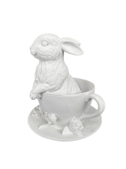 HYK1285 - FİNCANDA TAVŞAN